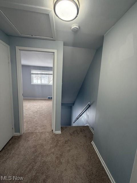 hallway with carpet