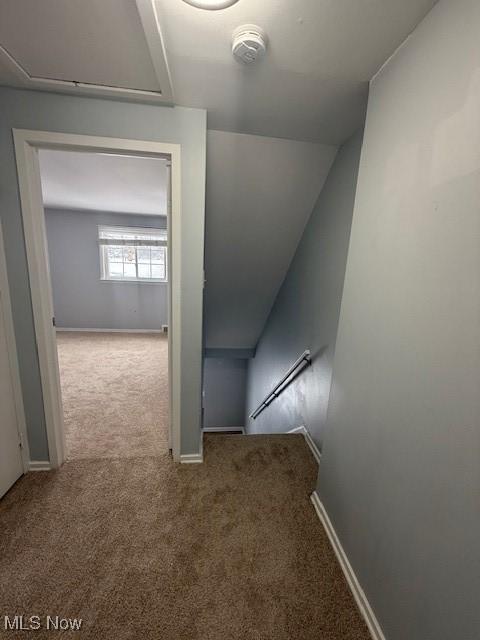 hallway with carpet flooring