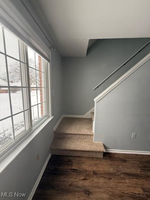 staircase featuring hardwood / wood-style floors and a healthy amount of sunlight