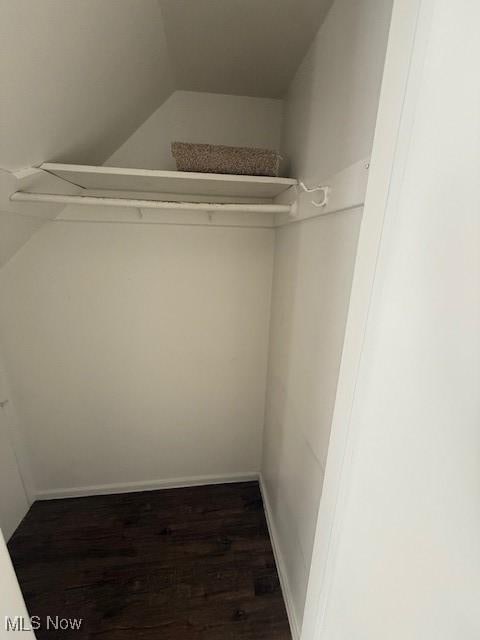 spacious closet featuring dark wood-type flooring