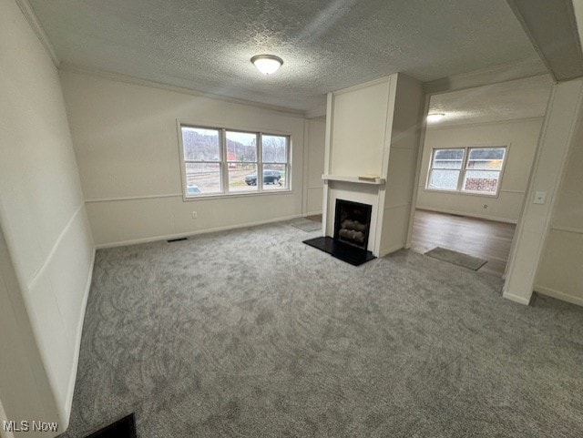 10630 Valley St, Trimble, OH 45782 - unfurnished living room featuring plenty of natural light, a textured ceiling, and carpet flooring