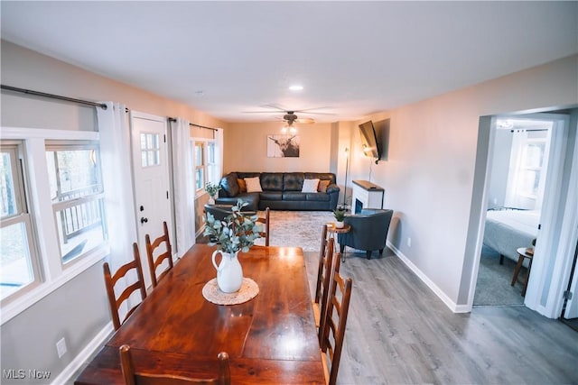 dining area with hardwood / wood-style flooring and ceiling fan