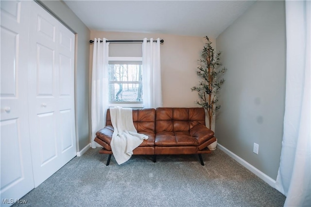 living area featuring carpet floors