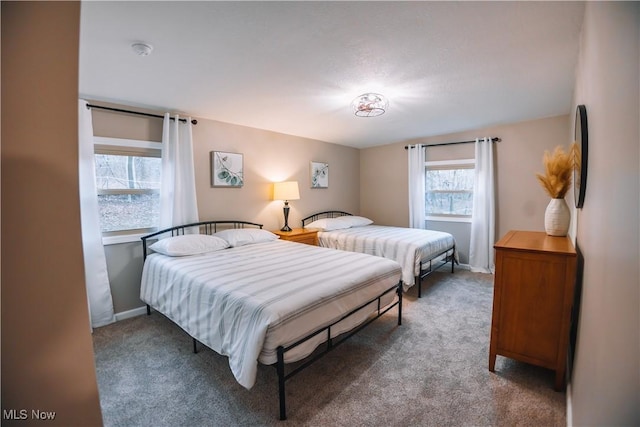 bedroom featuring carpet flooring