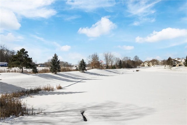 view of yard covered in snow