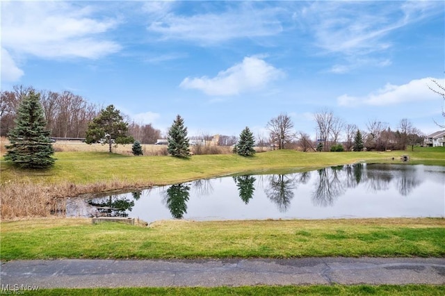 2834 Caxton Cir, Akron, OH 44312 - water view