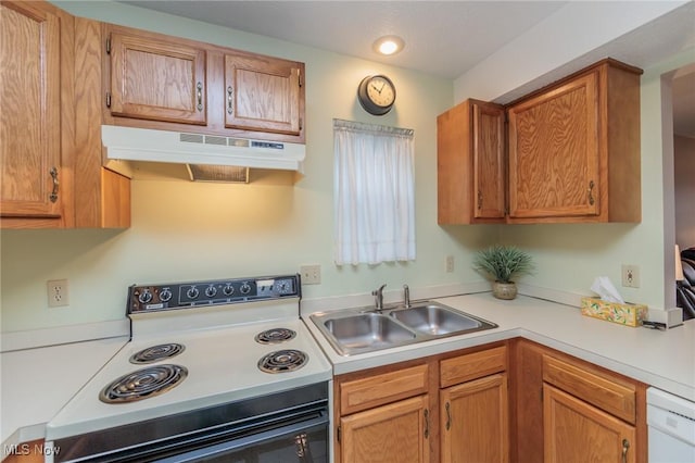 kitchen featuring white dishwasher, sink, and range with electric cooktop