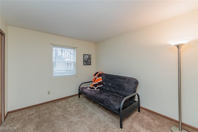 living area with light carpet