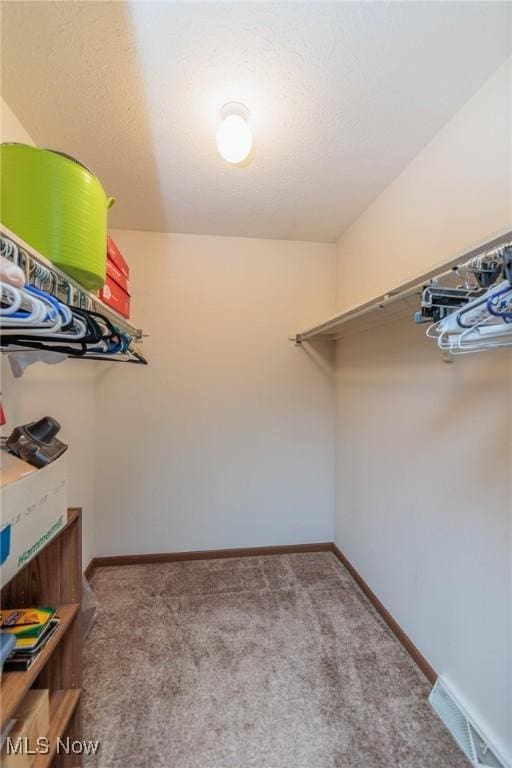 spacious closet featuring light carpet