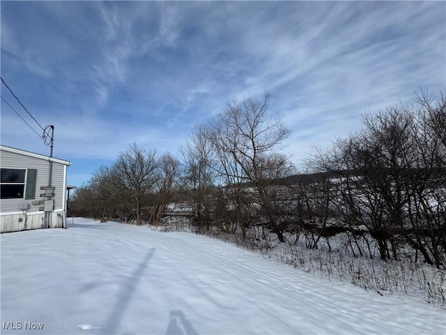 view of yard layered in snow