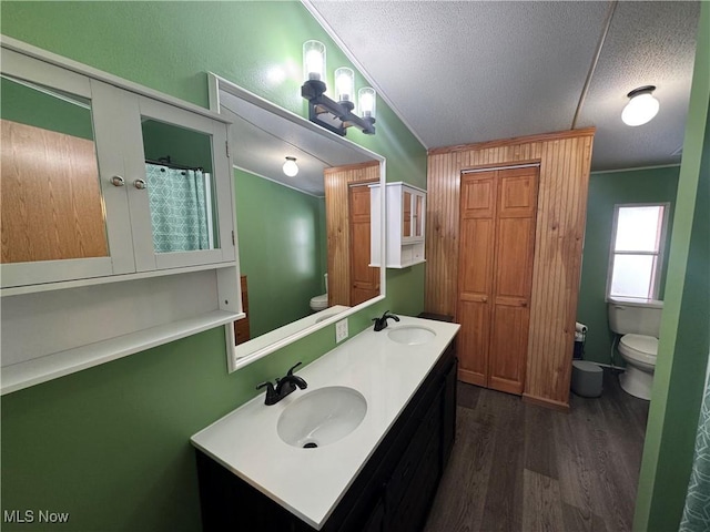 bathroom with wood-type flooring, toilet, a textured ceiling, and vanity