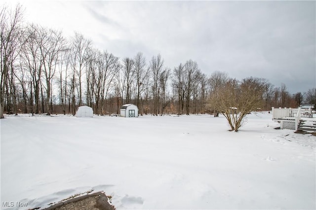 yard covered in snow with a storage shed