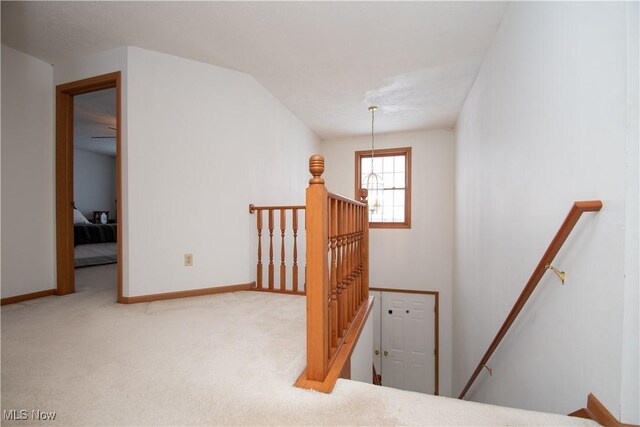 stairs with carpet