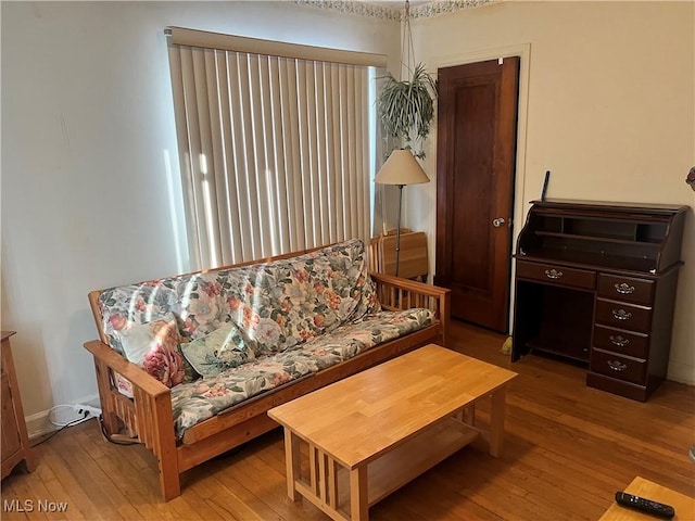 living room featuring hardwood / wood-style flooring