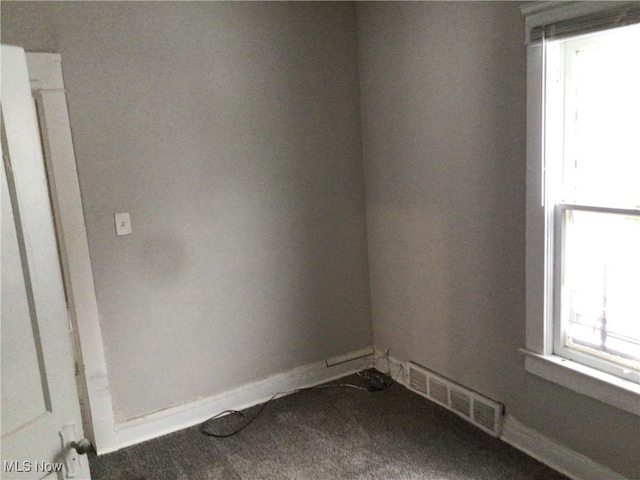 carpeted spare room with a wealth of natural light