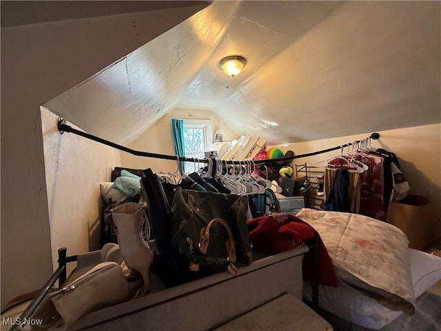 bonus room with lofted ceiling