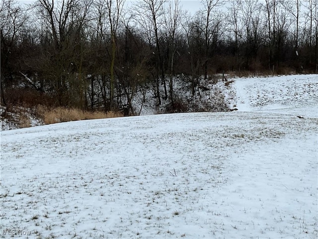 view of yard covered in snow