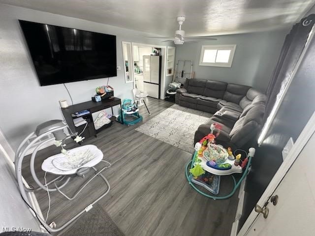 living room featuring ceiling fan and wood-type flooring