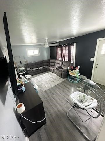 living room featuring ceiling fan and wood-type flooring