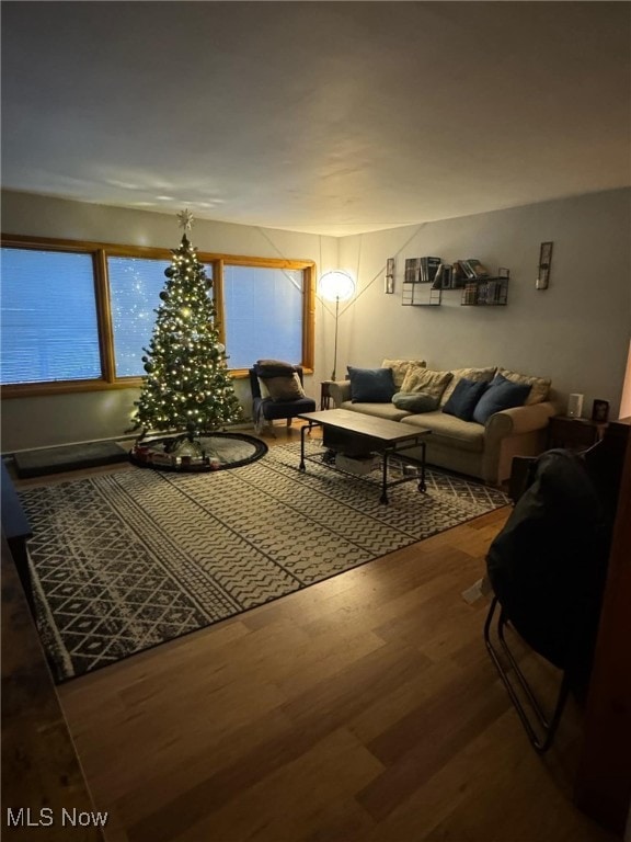 living room featuring hardwood / wood-style floors