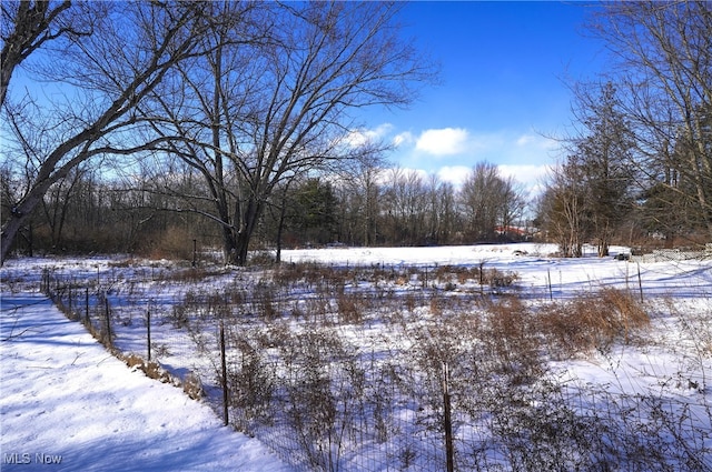 view of snowy yard