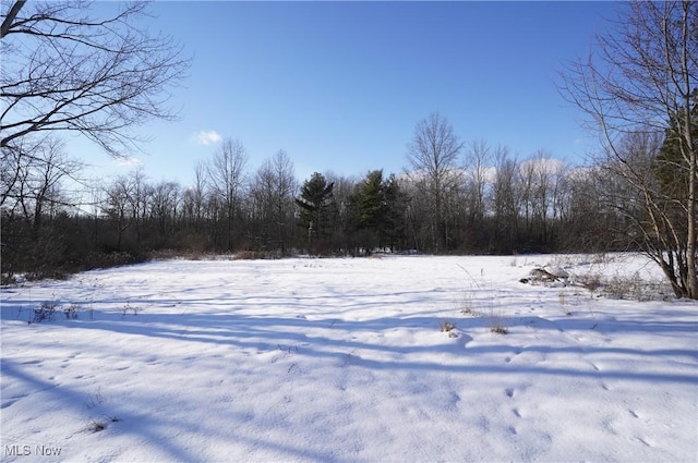 view of yard layered in snow