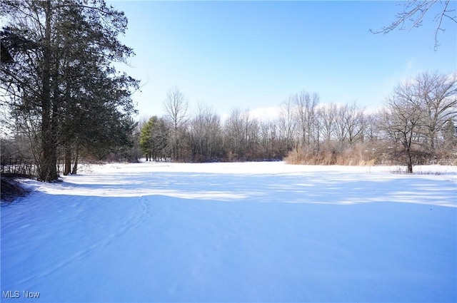 view of snowy yard