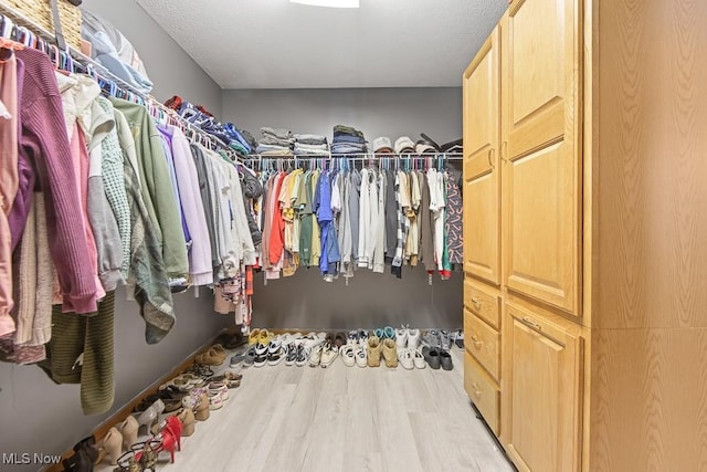 spacious closet with light hardwood / wood-style flooring