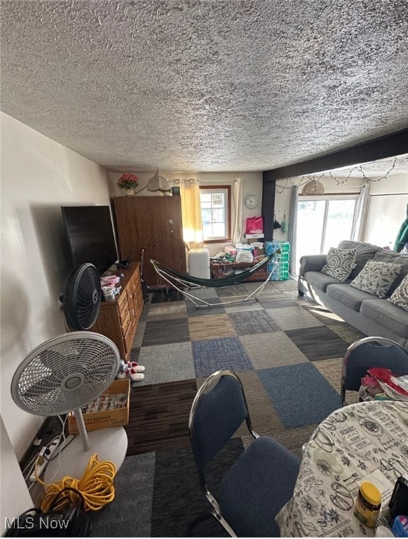 living room with a textured ceiling and a healthy amount of sunlight