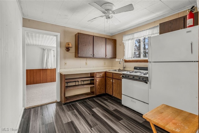kitchen featuring a sink, a ceiling fan, white appliances, light countertops, and dark wood-type flooring