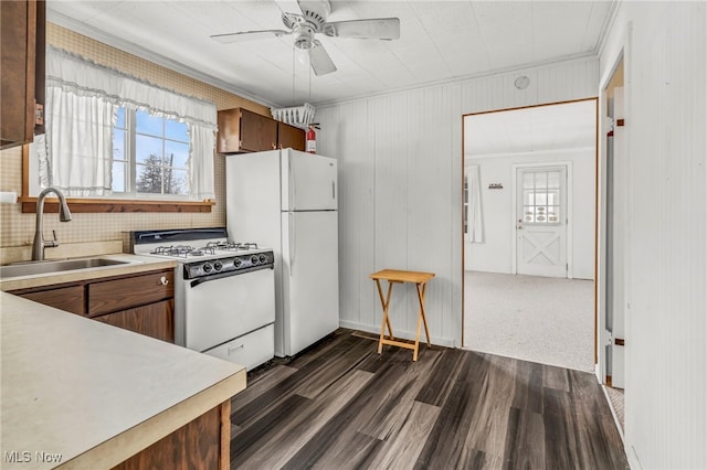 kitchen featuring a sink, white appliances, ceiling fan, light countertops, and dark wood-style flooring