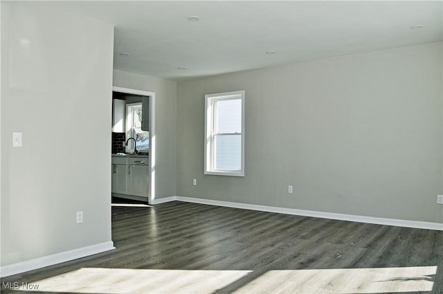 empty room featuring dark wood-type flooring and sink