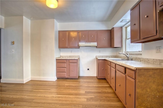 kitchen with sink and light hardwood / wood-style flooring