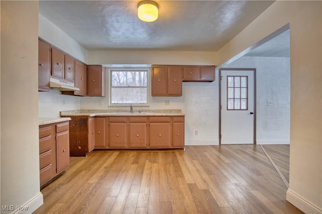 kitchen with sink and light hardwood / wood-style floors