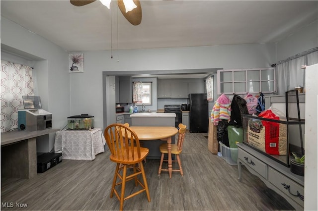 dining space featuring sink, ceiling fan, and dark hardwood / wood-style flooring