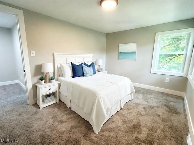 bedroom featuring carpet flooring