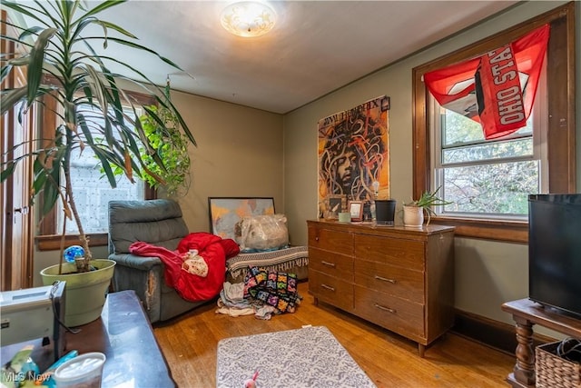 sitting room featuring light hardwood / wood-style flooring