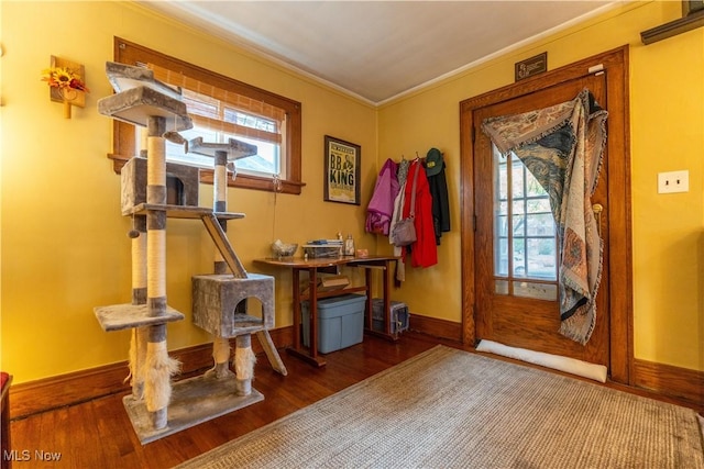 entryway with hardwood / wood-style flooring and ornamental molding