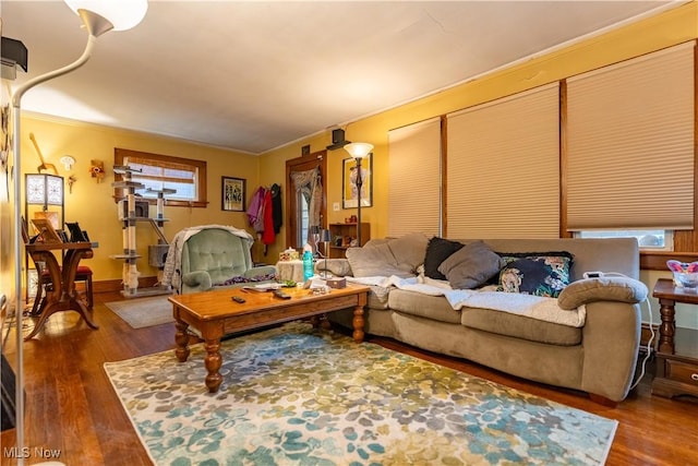 living room with dark hardwood / wood-style floors and crown molding