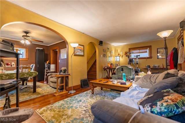 living room with ornamental molding, ceiling fan, and hardwood / wood-style floors