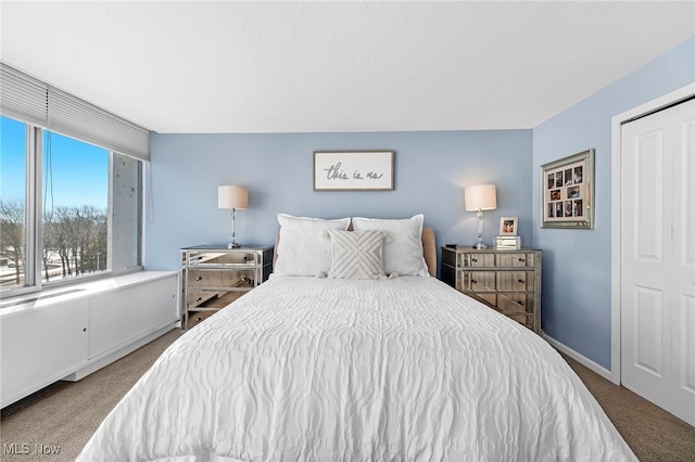 carpeted bedroom with multiple windows