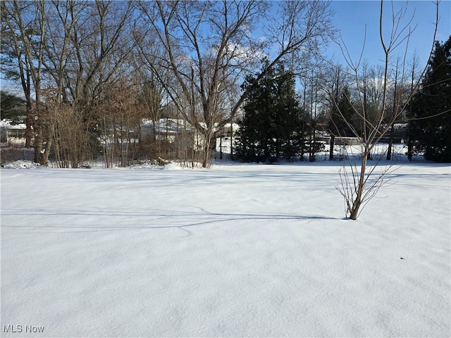 view of yard layered in snow