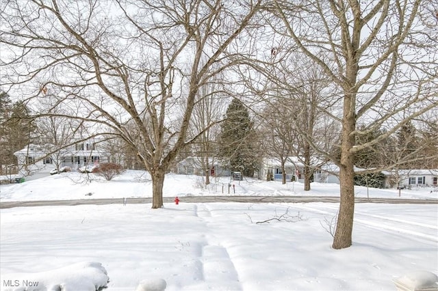 view of yard covered in snow