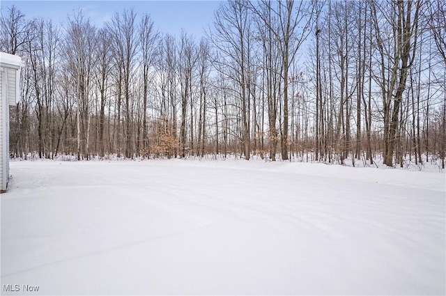 view of snowy yard