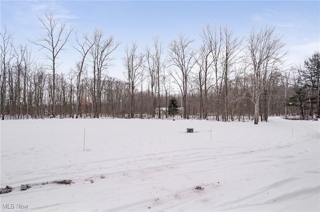 view of snowy yard