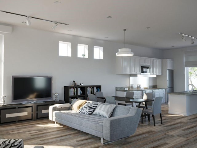 living room with hardwood / wood-style flooring, sink, and rail lighting