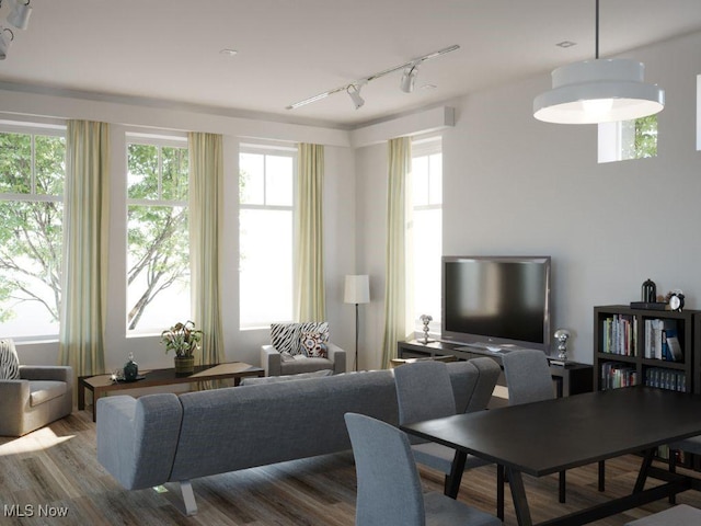 living room featuring track lighting, plenty of natural light, and wood-type flooring