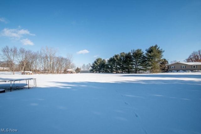 view of yard layered in snow