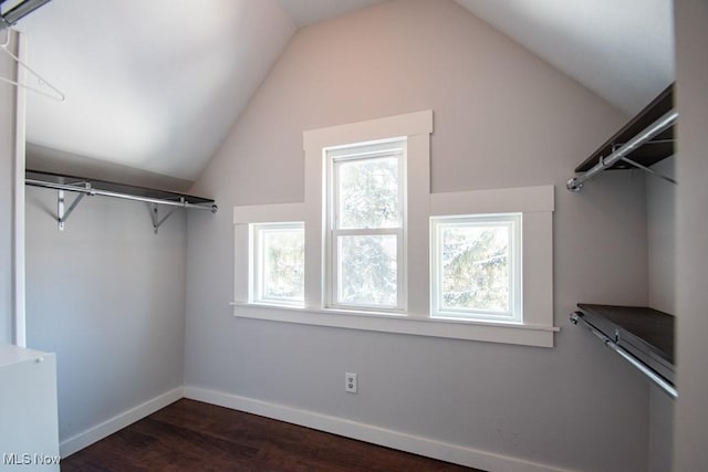 spacious closet featuring dark hardwood / wood-style floors and lofted ceiling