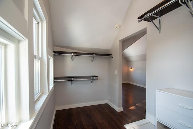 walk in closet with vaulted ceiling and dark hardwood / wood-style flooring